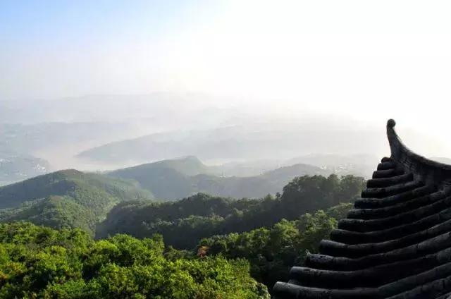 森林公园推荐一个好地方，国际森林日