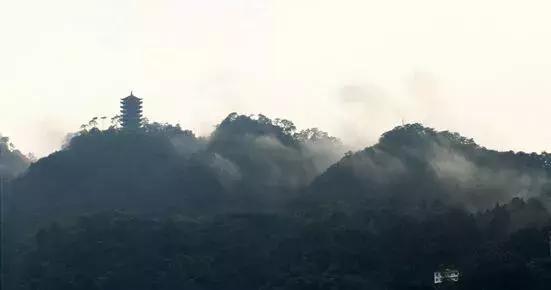 森林公园推荐一个好地方，国际森林日