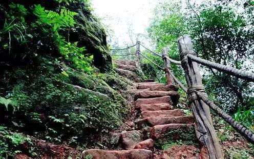 森林公园推荐一个好地方，国际森林日