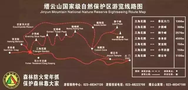 森林公园推荐一个好地方，国际森林日