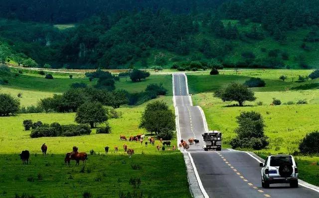 森林公园推荐一个好地方，国际森林日