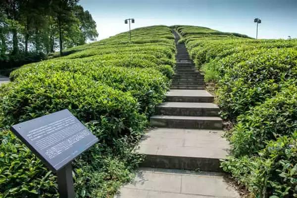 森林公园推荐一个好地方，国际森林日