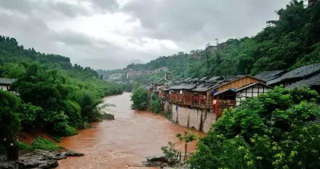 森林公园推荐一个好地方，国际森林日
