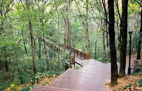 森林公园推荐一个好地方，国际森林日