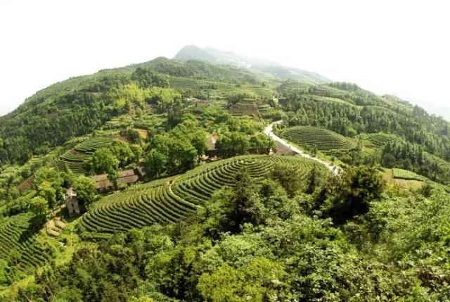 森林公园推荐一个好地方，国际森林日