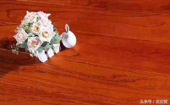 春野菜上市啦这10种上海人最爱，正宗的野菜