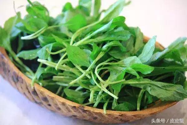 春野菜上市啦这10种上海人最爱，正宗的野菜