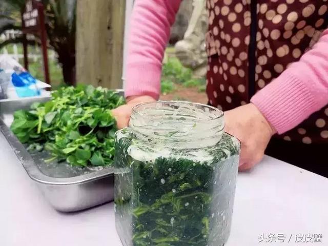 春野菜上市啦这10种上海人最爱，正宗的野菜