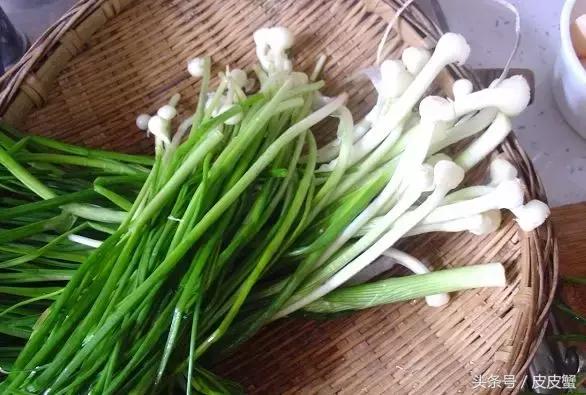 春野菜上市啦这10种上海人最爱，正宗的野菜