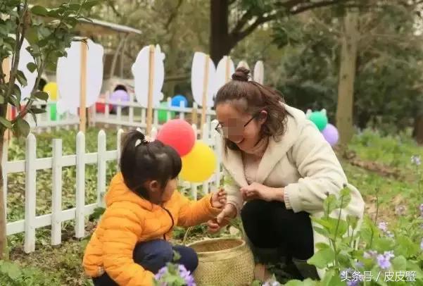 春野菜上市啦这10种上海人最爱，正宗的野菜