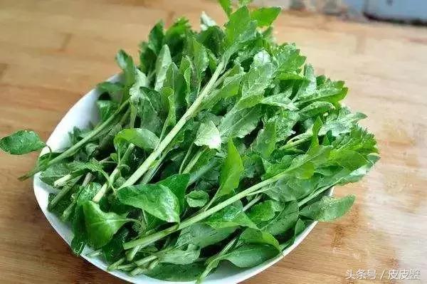 春野菜上市啦这10种上海人最爱，正宗的野菜