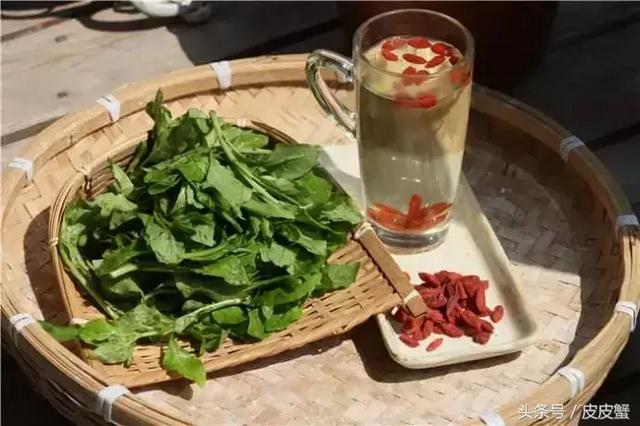 春野菜上市啦这10种上海人最爱，正宗的野菜