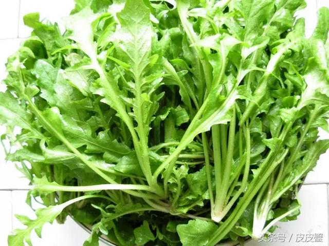 春野菜上市啦这10种上海人最爱，正宗的野菜