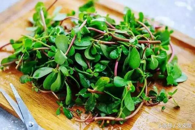 春野菜上市啦这10种上海人最爱，正宗的野菜