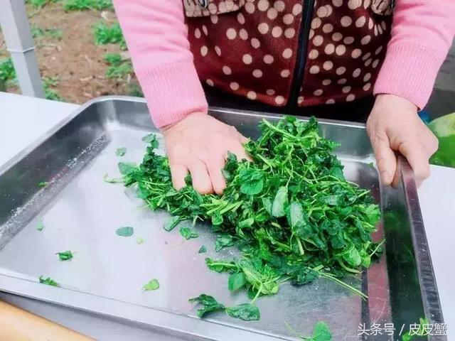 春野菜上市啦这10种上海人最爱，正宗的野菜