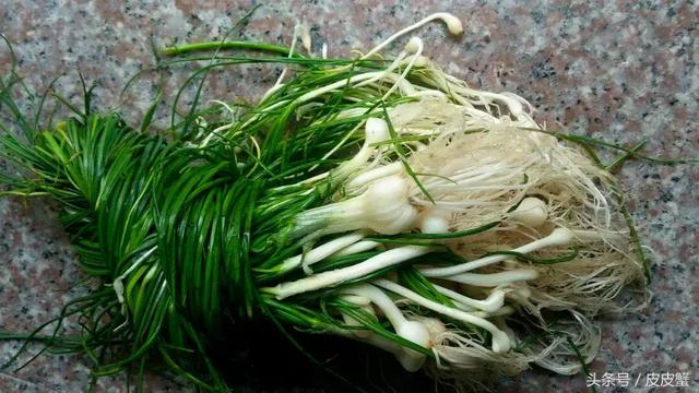 春野菜上市啦这10种上海人最爱，正宗的野菜