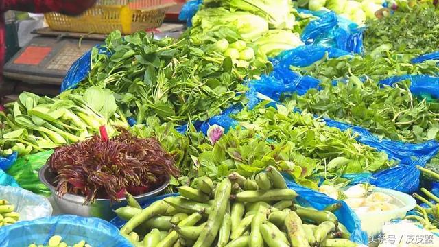 春野菜上市啦这10种上海人最爱，正宗的野菜