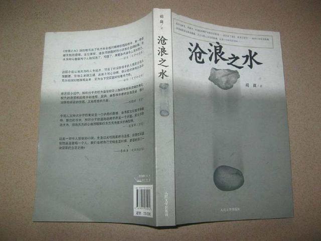 经典的官场小说，官场小说代表经典作（再给大家带来官场沉浮的6本巅峰佳作）