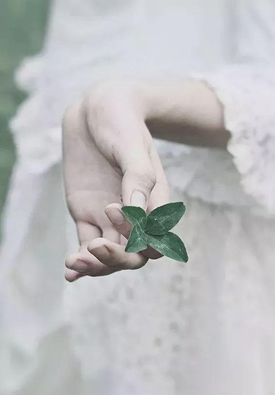 晚安的句子180326：我不想当烟花般灿烂瞬间，只想当你普通的永远