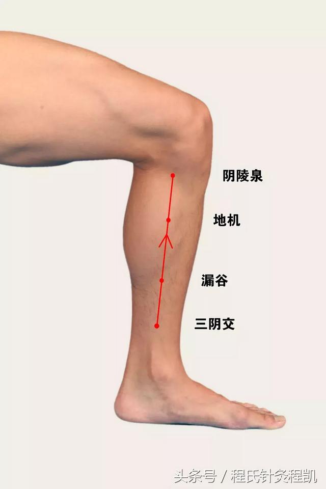 能祛湿气最快的穴位按摩，湿不除毒不出这个穴位最祛湿