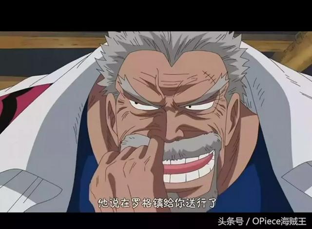 海贼王最实用的五种果实，这些果实由海迷们亲自命名