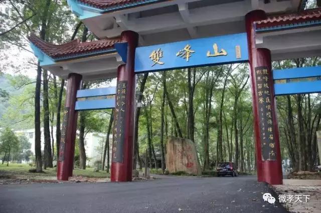 孝感哪些旅游景点值得去玩的，春赏花夏消暑秋观叶