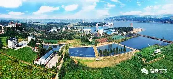 孝感哪些旅游景点值得去玩的，春赏花夏消暑秋观叶