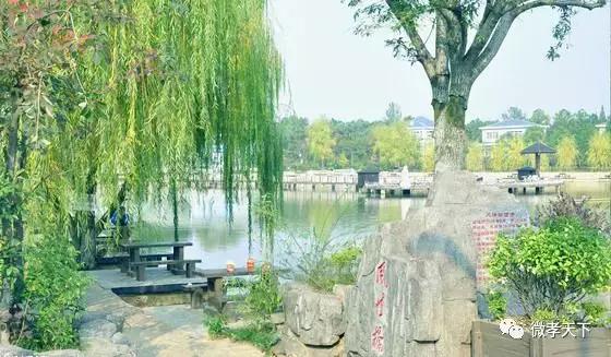 孝感哪些旅游景点值得去玩的，春赏花夏消暑秋观叶