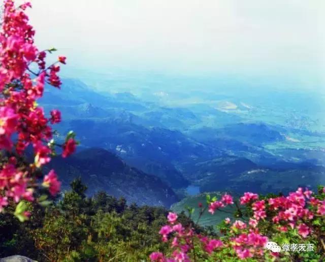 孝感哪些旅游景点值得去玩的，春赏花夏消暑秋观叶