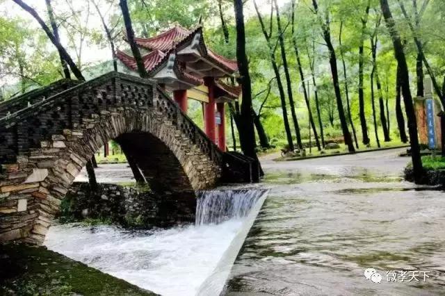 孝感哪些旅游景点值得去玩的，春赏花夏消暑秋观叶