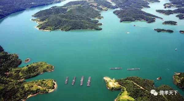 孝感哪些旅游景点值得去玩的，春赏花夏消暑秋观叶