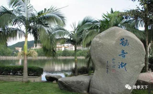 孝感哪些旅游景点值得去玩的，春赏花夏消暑秋观叶