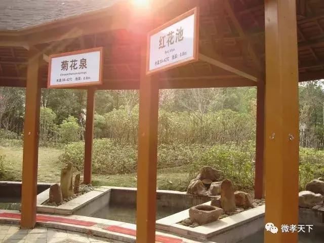 孝感哪些旅游景点值得去玩的，春赏花夏消暑秋观叶