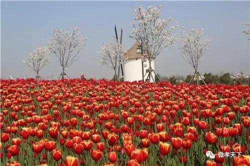 孝感哪些旅游景点值得去玩的，春赏花夏消暑秋观叶