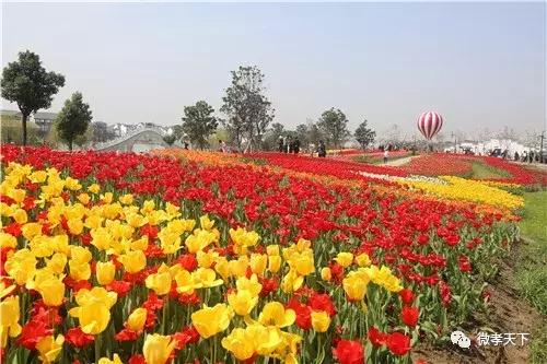 孝感哪些旅游景点值得去玩的，春赏花夏消暑秋观叶