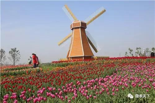 孝感哪些旅游景点值得去玩的，春赏花夏消暑秋观叶