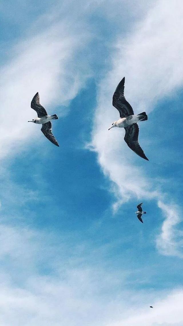 晚安句子180329：昔日那份深深的依赖，现在只想狠狠的掩埋