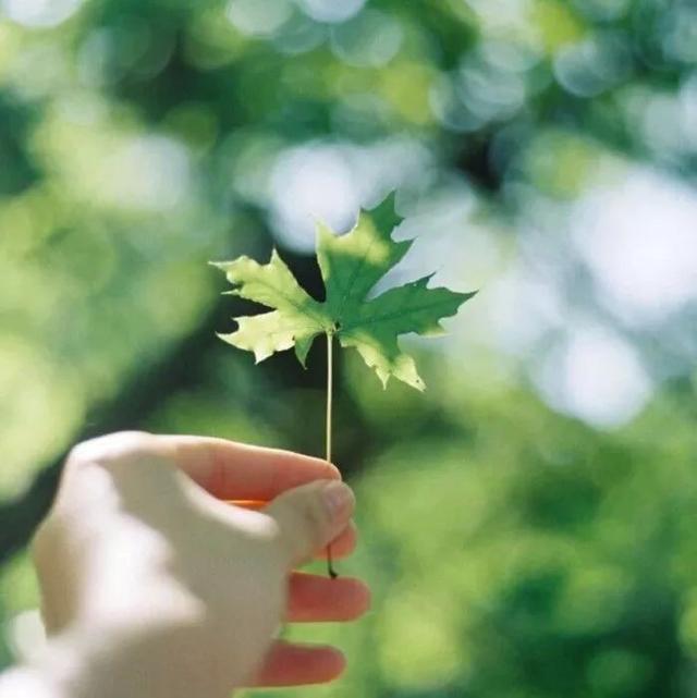晚安句子180329：昔日那份深深的依赖，现在只想狠狠的掩埋