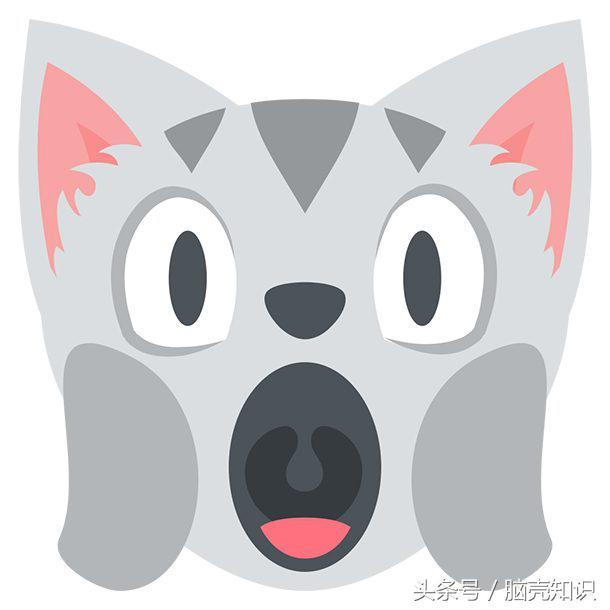 emoji小表情，这10个常见的emoji表情符号（emoji表情符号高清大全）