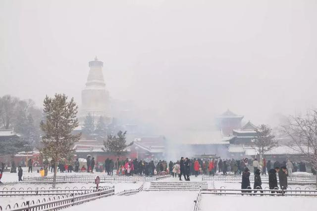 五台山 道场，佛教五大名山能有多绝