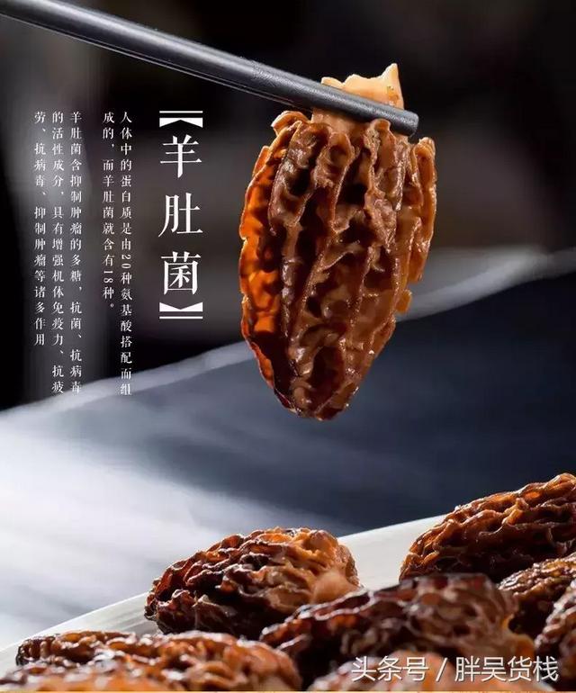 羊肚菌食谱大全，让吃货的春天更滋补