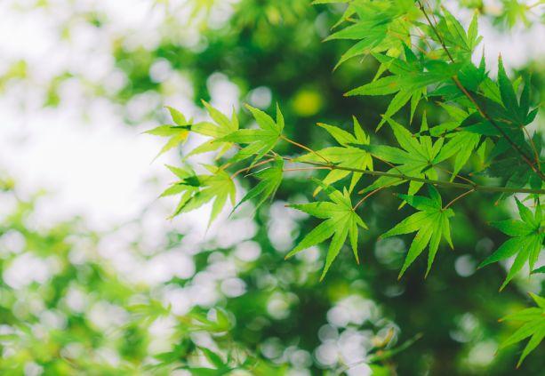 晚安心情180330：生活终究是自己的