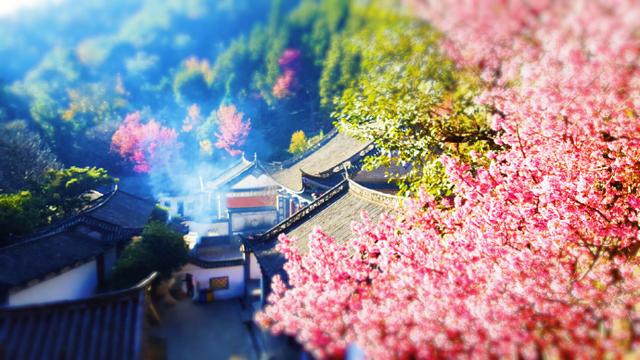 早安美图180401：尽情尽兴给讨厌的甩脸子，光明正大给喜欢的说情话