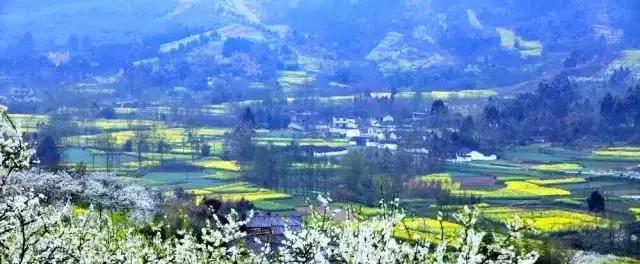 龙泉花海景区，与龙泉齐名的小众桃花海