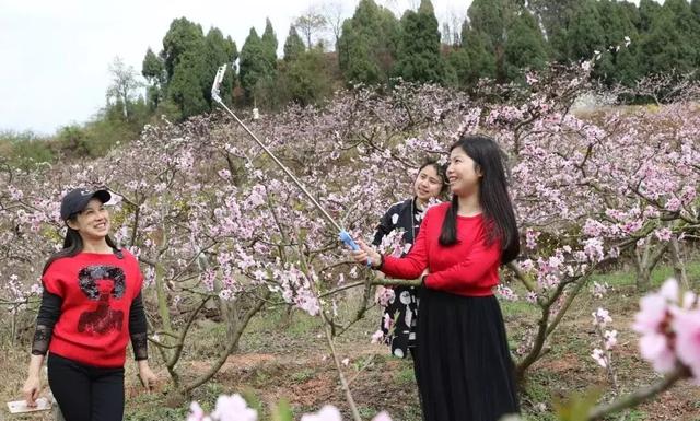 龙泉花海景区，与龙泉齐名的小众桃花海