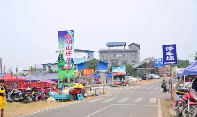 龙泉花海景区，与龙泉齐名的小众桃花海