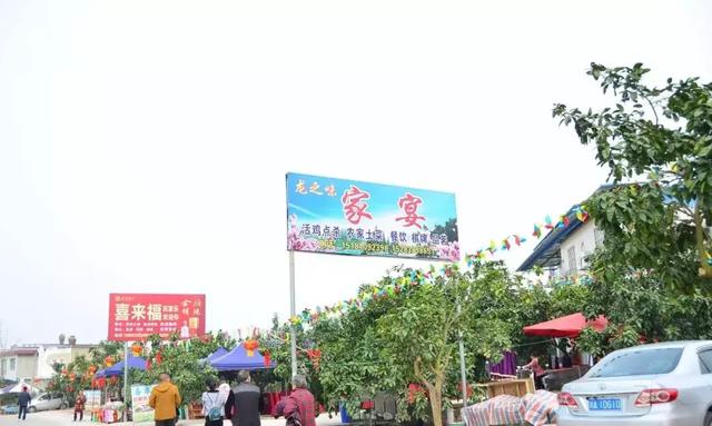 龙泉花海景区，与龙泉齐名的小众桃花海