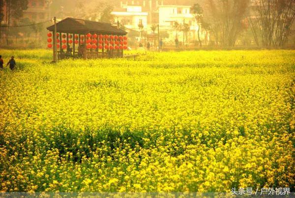 广州千年以上的古村，广州市天河区这个城中村