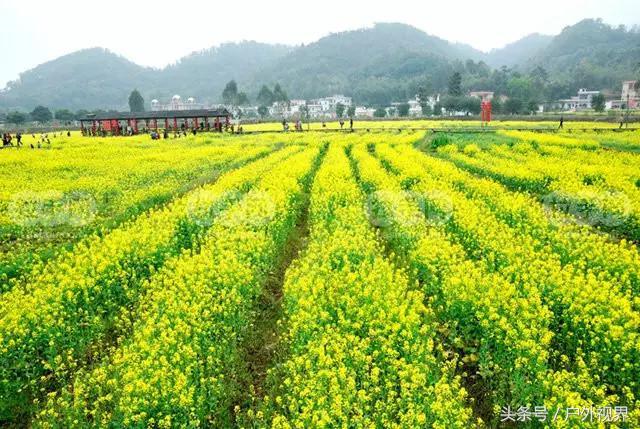 广州千年以上的古村，广州市天河区这个城中村