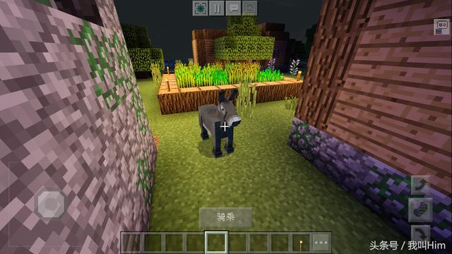 我的世界十大僵尸村庄，我的世界揭开僵尸村庄